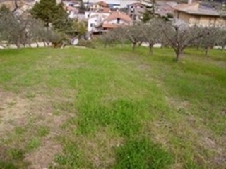 Terreno edificabile in Vendita a Colonnella, 130'000€, 1320 m²