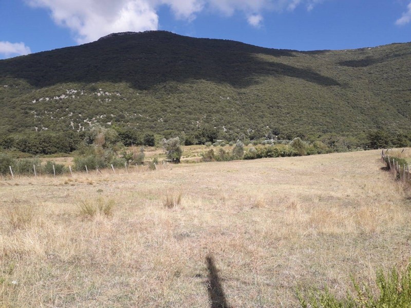 Terreno agricolo in Vendita a Capaccio Paestum, 59'000€, 14850 m²