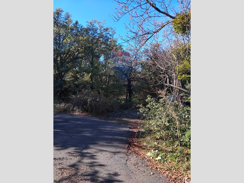 Terreno agricolo in Vendita a Ragalna, 58'000&euro;, 12890 m²