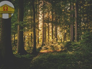 Terreno agricolo in Vendita a Nervesa della Battaglia, 20'000€, 2500 m²