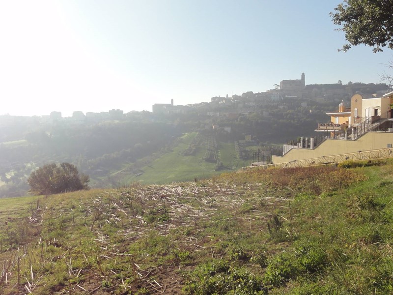 Terreno edificabile in Vendita a Fermo, 30000 m²