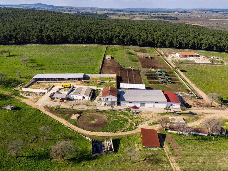 Rustico in Vendita a Corato, 1'900'000€, 2800 m²