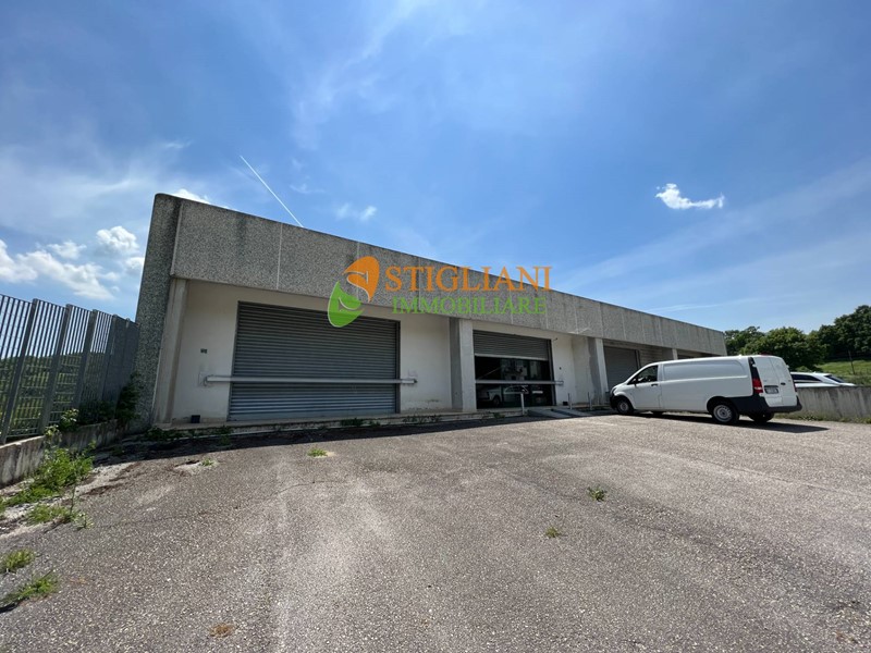 Immobile commerciale in Affitto a Castropignano, 800 m²