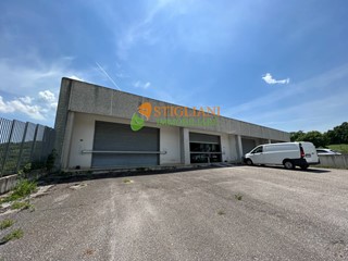 Immobile commerciale in Affitto a Castropignano, 800 m²