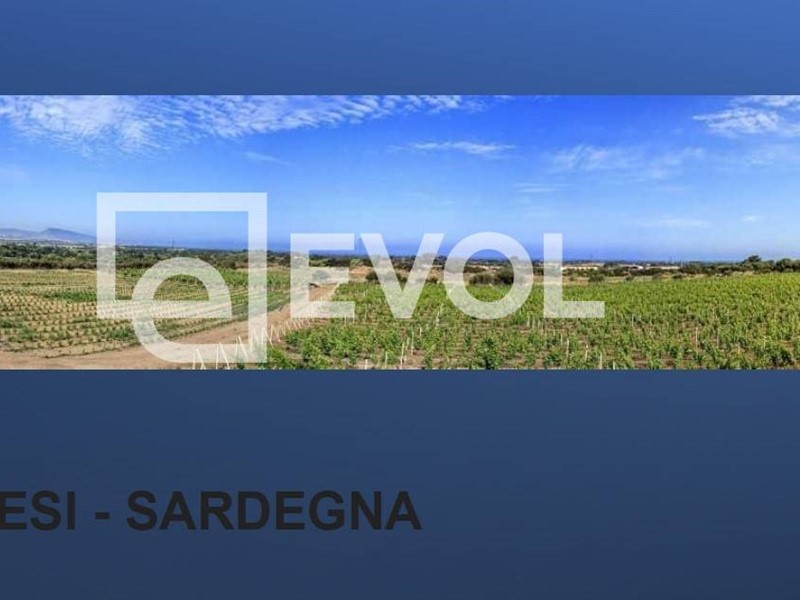 Terreno agricolo in Vendita a Badesi, 1'800'000€, 120000 m²