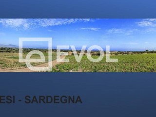 Terreno agricolo in Vendita a Badesi, 1'800'000€, 120000 m²