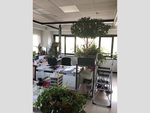 Capannone in Vendita a Poppi, 630'000&euro;, 986 m²