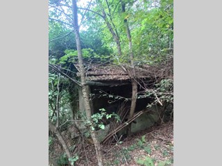 Terreno agricolo in Vendita a Cadegliano Viconago, 20'000€, 850 m²