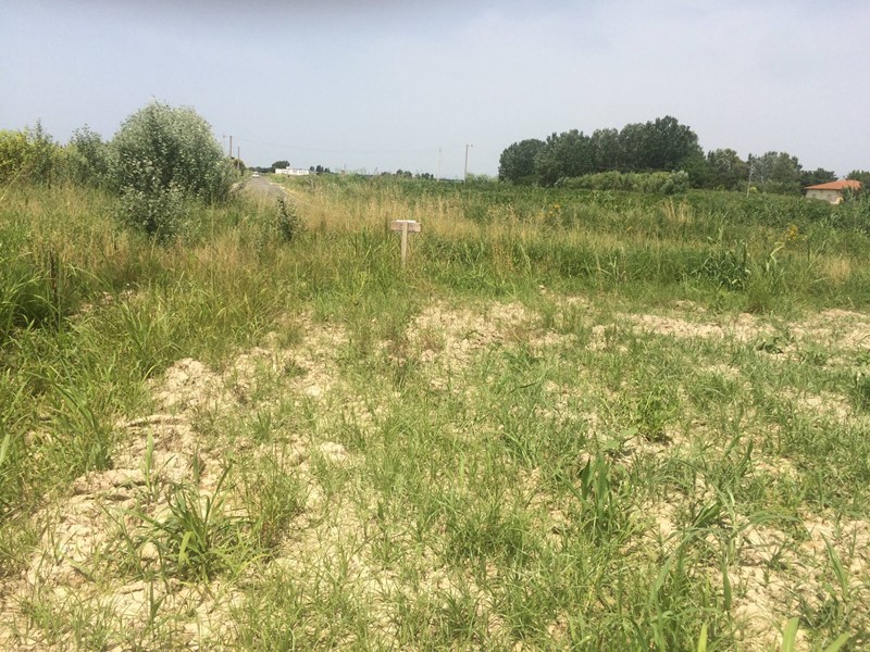 Terreno agricolo in Vendita a Vecchiano, 50'000€, 15000 m²