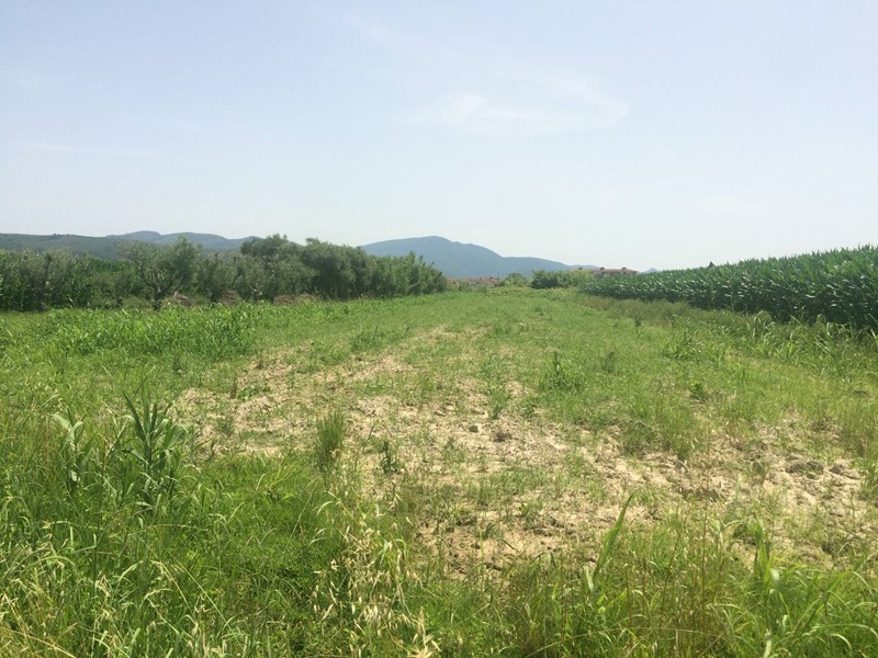 Terreno agricolo in Vendita a Vecchiano, 13'500€, 3400 m²