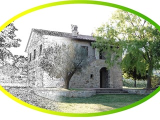 Terreno agricolo in Vendita a Terricciola, 12'000€, 7500 m²