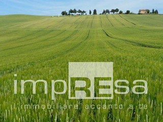 Terreno agricolo in Vendita a Brugnera, 80207 m²