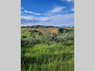 Terreno agricolo in Vendita a Montegranaro, 150'000€, 46000 m²