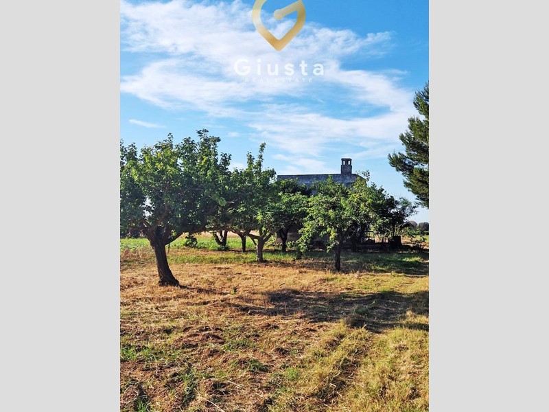 Terreno agricolo in Vendita a Mesagne, 15'000€, 10000 m²