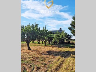 Terreno agricolo in Vendita a Mesagne, 15'000€, 10000 m²