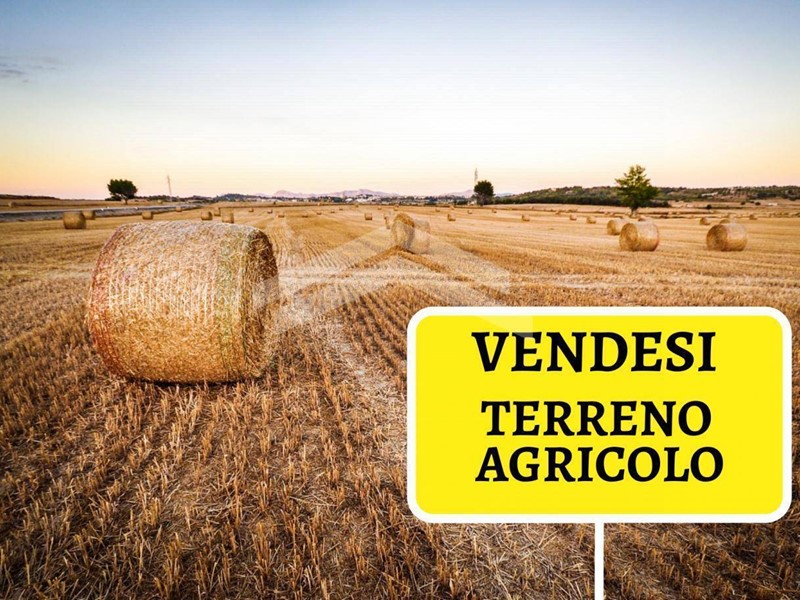 Terreno agricolo in Vendita a Castropignano, 45'000€, 89732 m²