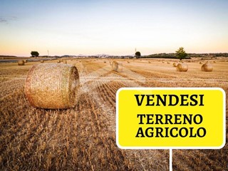 Terreno agricolo in Vendita a Castropignano, 45'000€, 89732 m²