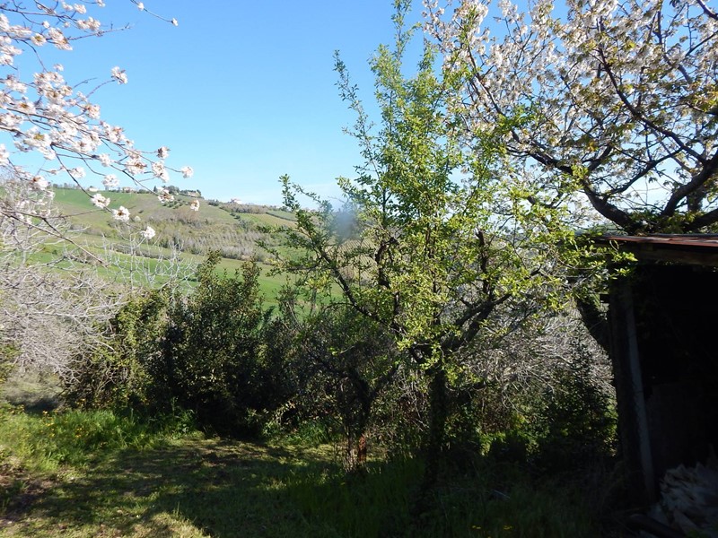 Rustico in Vendita a Castignano, 120'000€, 300 m², con Box