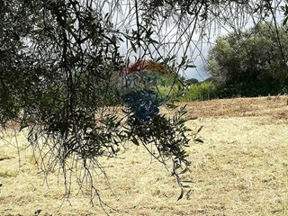 Terreno edificabile in Vendita a Aprilia, 69'000€, 1200 m²