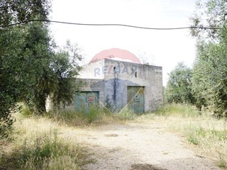Rustico in Vendita a Vieste, 240'000€, 70 m²