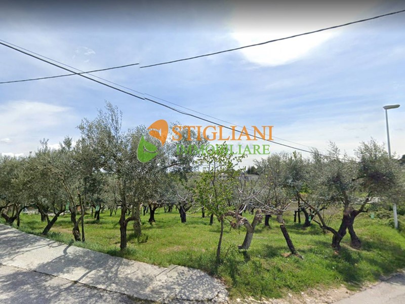 Terreno industriale in Vendita a Ripalimosani, 116'000€, 2890 m²