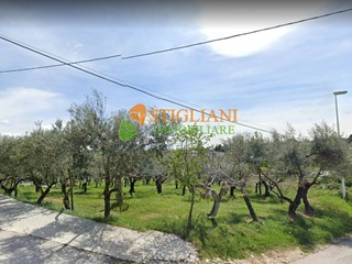 Terreno industriale in Vendita a Ripalimosani, 116'000€, 2890 m²