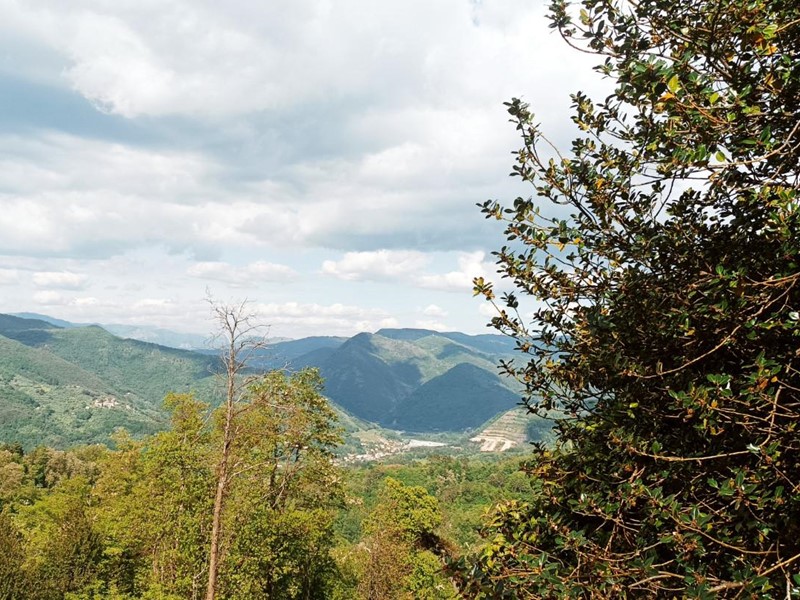 Attività commerciale in Vendita a Borgo a Mozzano, 790'000&euro;, 740 m²