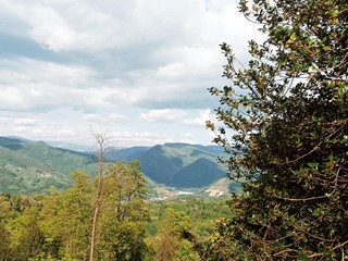 Attività commerciale in Vendita a Borgo a Mozzano, 790'000&euro;, 740 m²