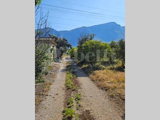 Terreno agricolo in Vendita a Altavilla Milicia, 50'000€, 4600 m²