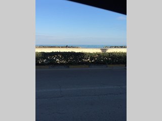 Appartamento in Affitto a Montesilvano, zona Fronte mare  , 650€, 70 m²