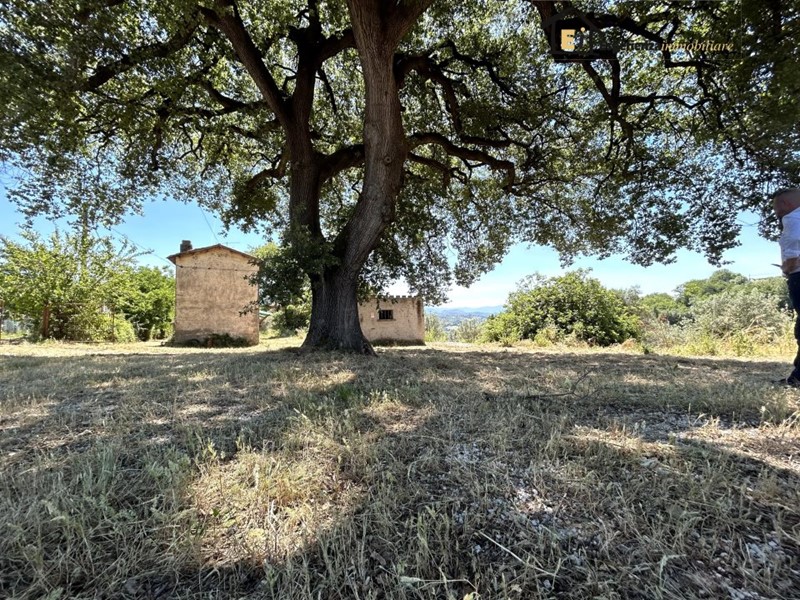 Casale in Vendita a Cantalupo in Sabina, 119'000&euro;, 150 m²