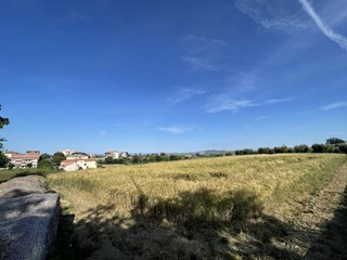 Terreno edificabile in Vendita a Mosciano Sant'Angelo, 120'000€, 11500 m²