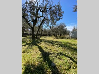 Casa Indipendente in Vendita a Montelupo Fiorentino, 320'000€, 130 m², con Box