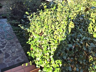 Appartamento in Vendita a Montelupo Fiorentino, 255'000€, 150 m², con Box