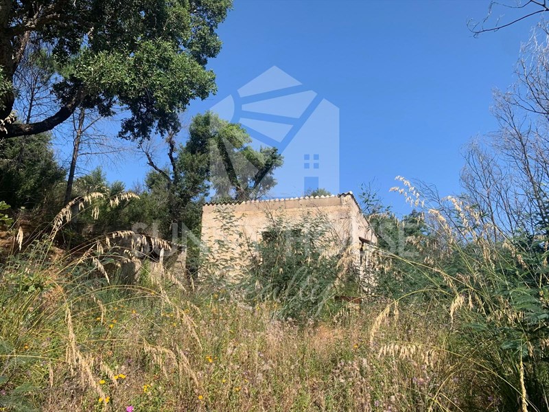 Terreno agricolo in Vendita a Gratteri, zona Contrada Rapputi, 30'000€, 10037 m²