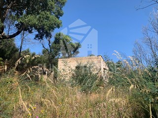Terreno agricolo in Vendita a Gratteri, zona Contrada Rapputi, 30'000€, 10037 m²