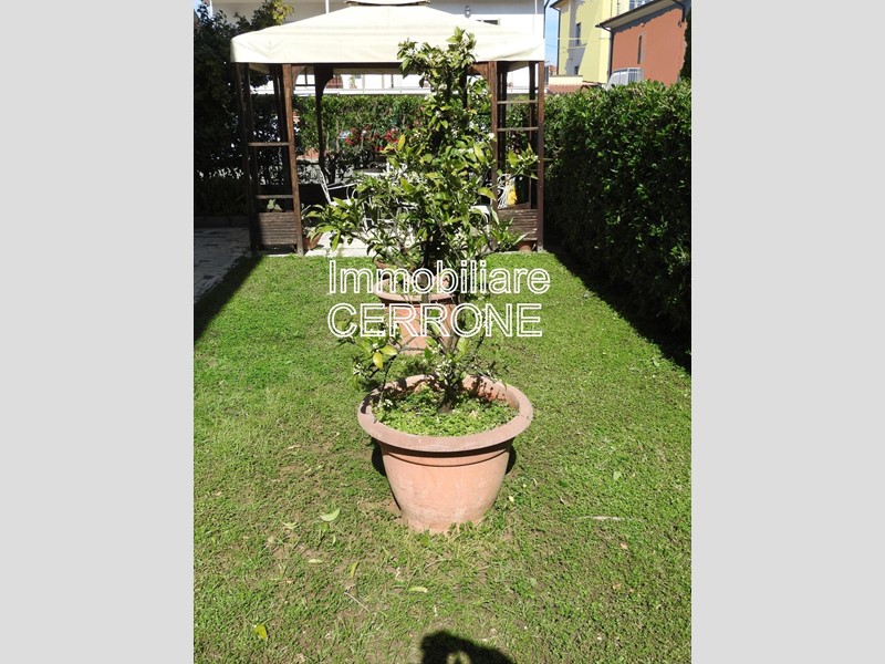 Casa Indipendente in Vendita a Cecina, zona San Pietro In Palazzi, 420'000€, 170 m², con Box