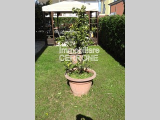 Casa Indipendente in Vendita a Cecina, zona San Pietro In Palazzi, 420'000€, 170 m², con Box