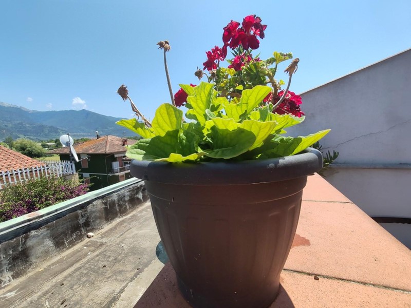 Attico in Vendita a Massa, zona Marina di Massa, 138'000€, 40 m²