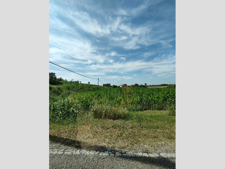 Terreno agricolo in Vendita a Corbola, 13'000€, 5977 m²