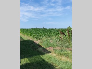 Terreno agricolo in Vendita a Corbola, 35'000€, 16572 m²