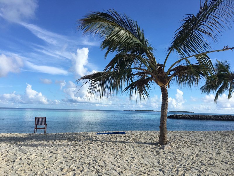 Quadrilocale in Affitto a San Benedetto del Tronto, zona Porto D’Ascoli, 3'000€, 80 m²