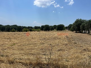 Terreno edificabile in Vendita a Monteparano, 155'000€, 2229 m²