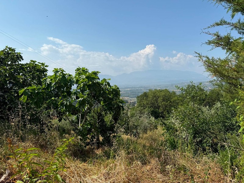 Casa Indipendente in Vendita a Altavilla Silentina, 50'000&euro;, 267 m²