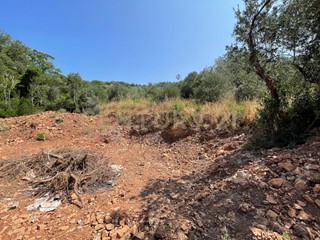 Casa Indipendente in Vendita a Monte Argentario, 25'000€, 10 m²