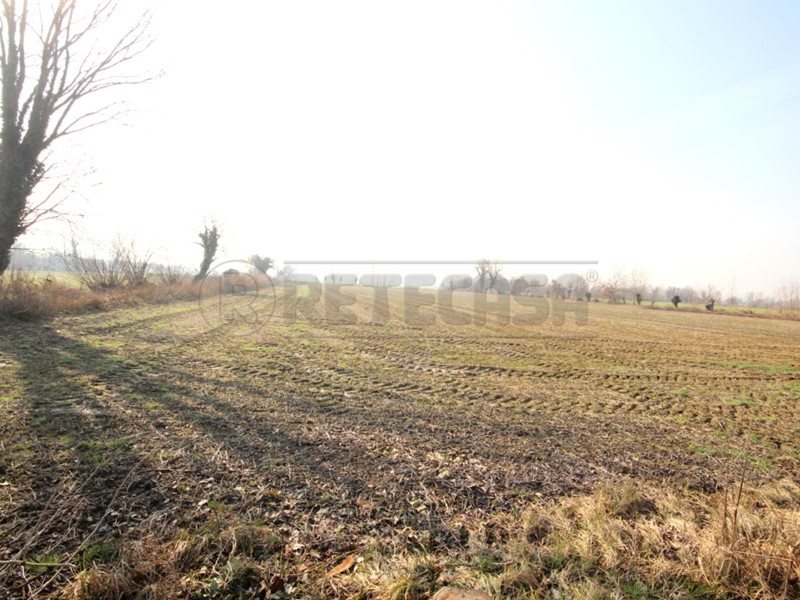 Terreno agricolo in Vendita a Camisano Vicentino, 125'000€, 31000 m²