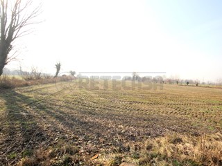 Terreno agricolo in Vendita a Camisano Vicentino, 125'000€, 31000 m²