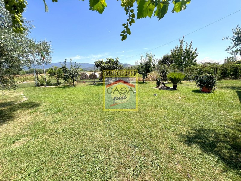Terreno agricolo in Vendita a Cascina, zona Navacchio, 50'000€, 3000 m²