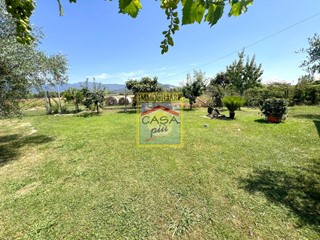 Terreno agricolo in Vendita a Cascina, zona Navacchio, 50'000€, 3000 m²