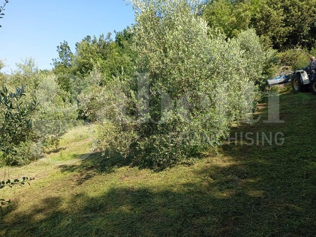 Terreno agricolo in Vendita a Pontelatone, 30'000€, 14586 m²